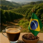 what is brazilian coffee